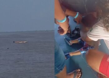 A criança foi resgatada e recebeu atendimento (Foto: Reprodução/Internet)