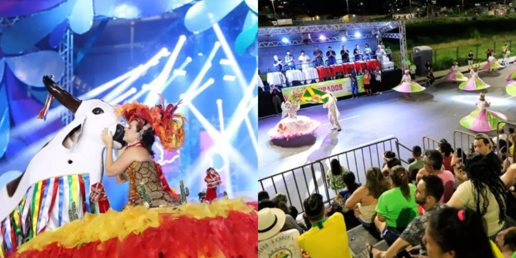 Carnaboi e Carnaval do Povão agitam o fim de semana em Manaus