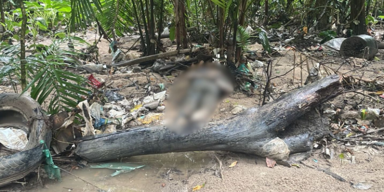 Corpo é encontrado com mãos e pés amarrados em Manaus