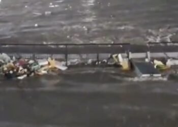 Corpo é encontrado boiando no igarapé do Mindu