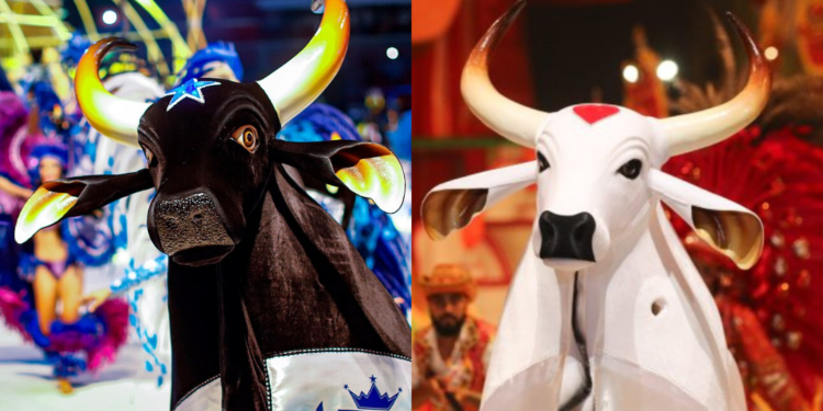 Datas dos ensaios dos bois Caprichoso e Garantido em Manaus são divulgados