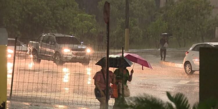 Defesa Civil alerta sobre chuvas intensas no Amazonas