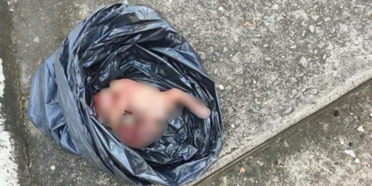 Feto de cinco meses é encontrado em lixeira de residência em Manaus