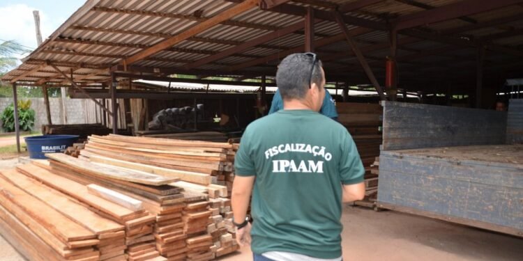 Ipaam aplica mais de R$ 1,4 milhão em multas por mineração ilegal em Presidente Figueiredo