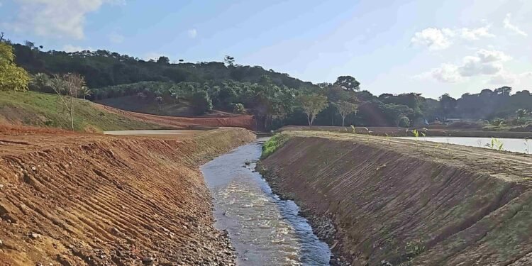 Ipaam embarga e aplica multa superior a R$ 135 mil a piscicultor que atuava de forma irregular em Presidente Figueiredo 