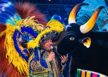 Prince deixa cargo de Amo do Boi (Foto: João Dejacy/Rios de Notícias)