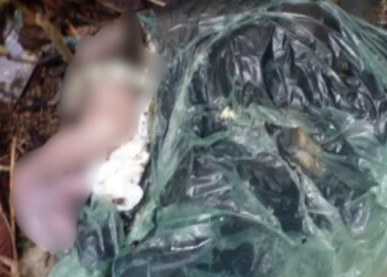 Recém-nascida é encontrada morta em saco plástico na zona Leste