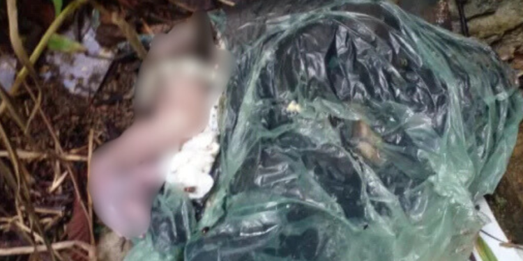 Recém-nascida é encontrada morta em saco plástico na zona Leste