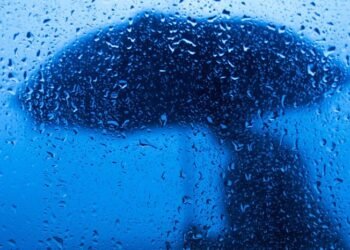 Região Metropolitana de Manaus deve ter chuva moderada a forte, alerta Defesa Civil