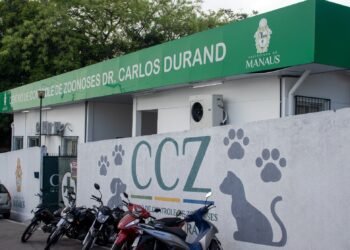 Campanha de vacinação antirrábica animal termina na próxima segunda-feira, 31