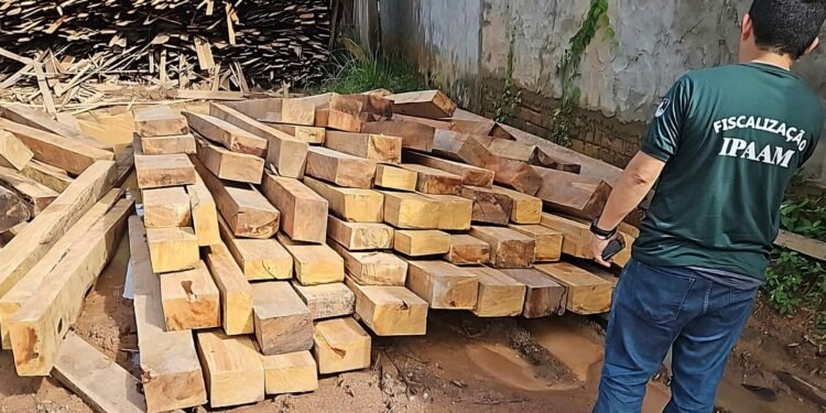 Madeireiras irregulares são multadas em mais de R$ 1 milhão por exploração ilegal de madeiras no AM