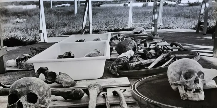 Estado brasileiro pede desculpas por negligência com ossadas de Perus