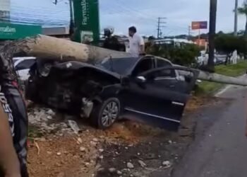 carro bate em poste