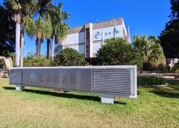 Conab publica edital de concurso público nacional com 403 vagas