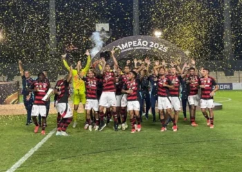 flamengo-libertadores-palmeiras