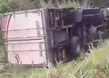 Caminhão tomba em área de mata próxima ao km 29 da rodovia AM-010 (Foto: Reprodução/ redes sociais)