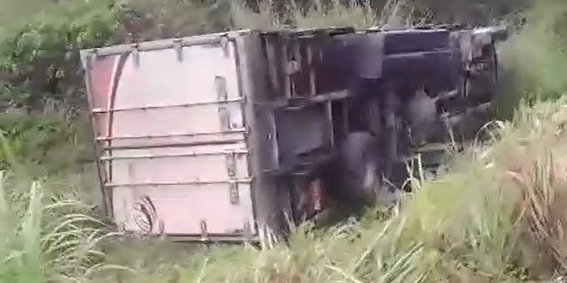 Caminhão tomba em área de mata próxima ao km 29 da rodovia AM-010 (Foto: Reprodução/ redes sociais)