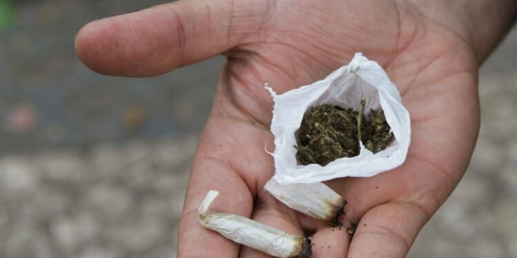 maconha