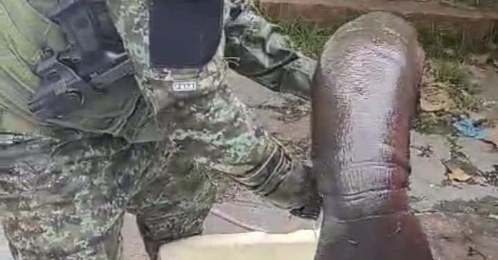 peixe-boi-resgate-manaus