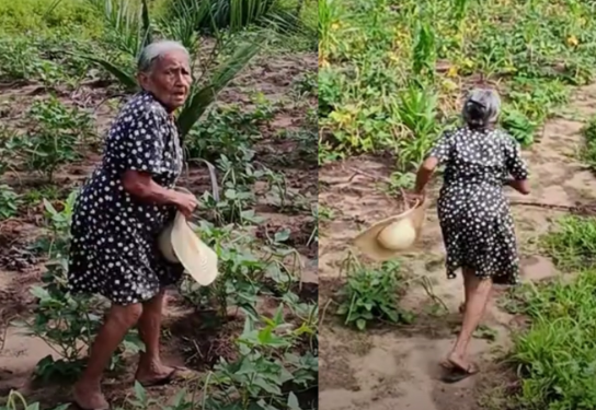 A reação da agricultora Joana Coelho