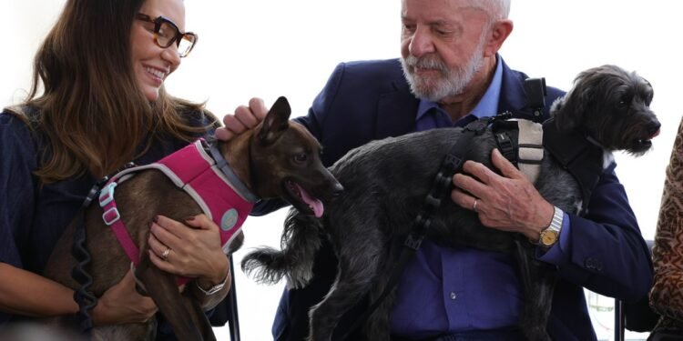 Lula lança programa de identificação e proteção de cães e gatos