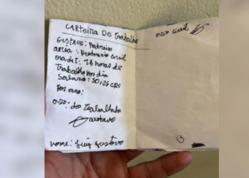 'Carteira de trabalho' feito pelos colegas (Foto: Reprodução/Internet)