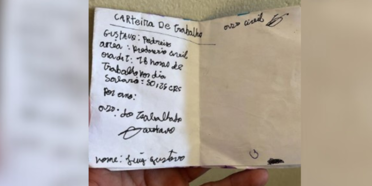 'Carteira de trabalho' feito pelos colegas (Foto: Reprodução/Internet)