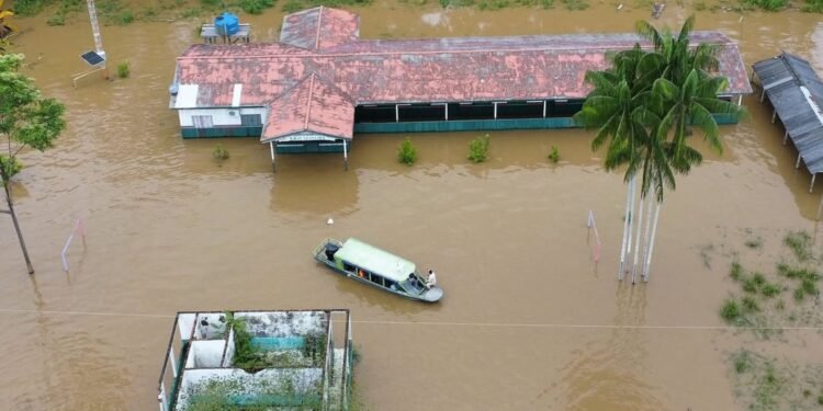 Cheia humaita em 2025