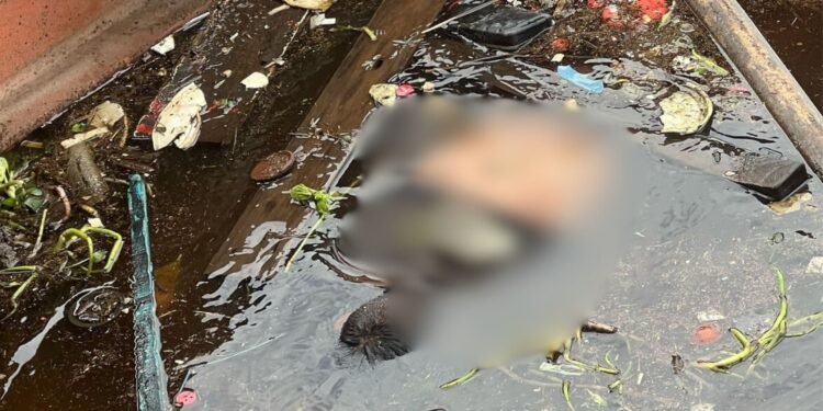 Corpo é encontrado boiando na zona Sul de Manaus