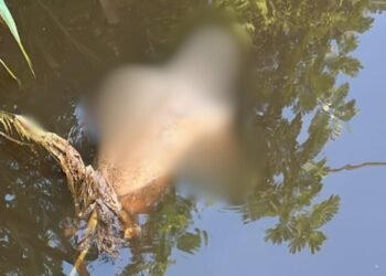 Corpo é encontrado boiando