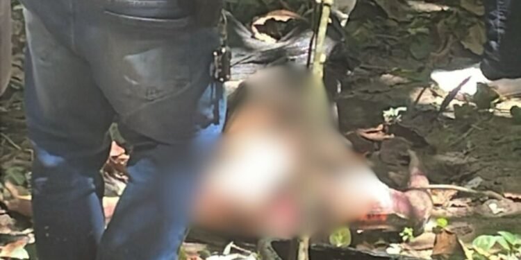 Corpo em estado de decomposição