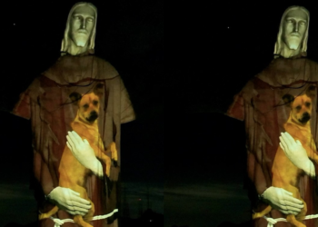 Cristo Redentor é iluminado abraçando cachorro caramelo em campanha por adoção responsável