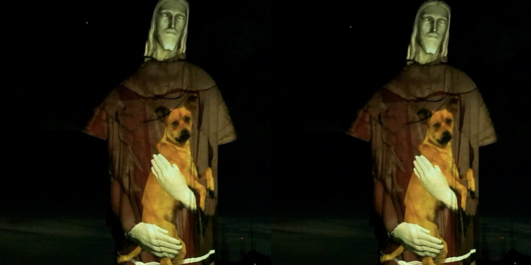 Cristo Redentor é iluminado abraçando cachorro caramelo em campanha por adoção responsável