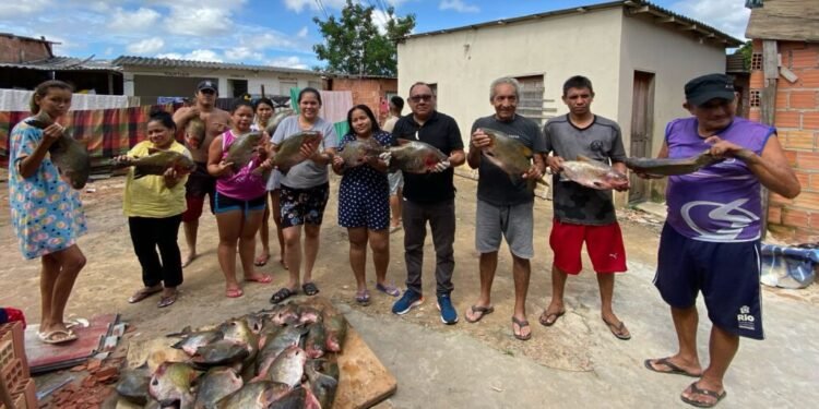 Doações de peixe garantem ceia da Semana Santa para mais de 150 famílias em Manaus