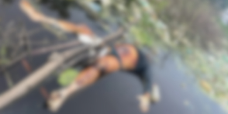 Vídeo: corpo de homem é encontrado com perfurações em igarapé na zona Sul de Manaus