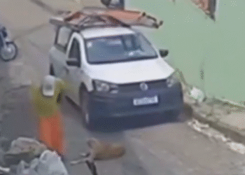 Vídeo: motorista terceirizado da Amazonas Energia atropela cachorro duas vezes na zona Oeste de Manaus