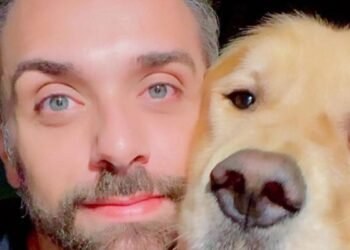 Após caso Joca, Senado aprova regras para transporte aéreo de animais