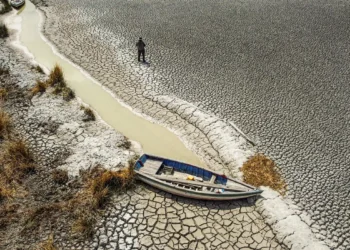 Seca deste ano foi mais branda no Norte e Centro-Oeste, revela monitor