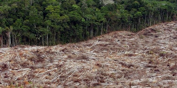 desmatamento-amazonia-legal