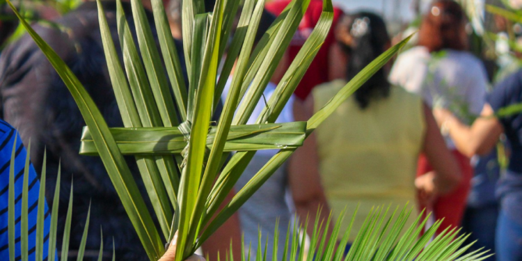 domingo-ramos