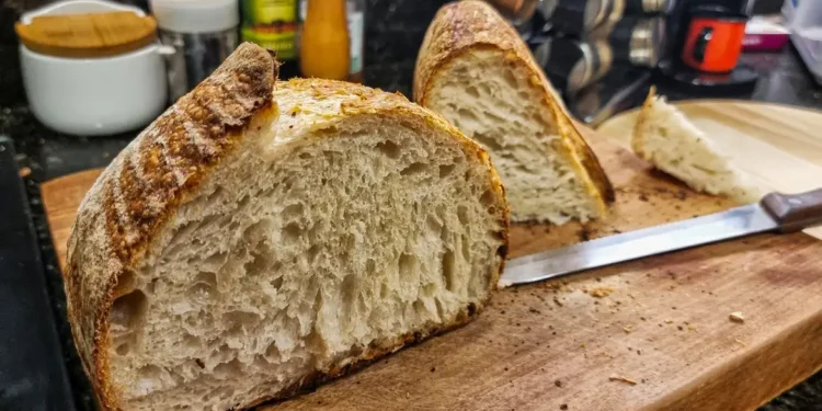 Faturamento do setor de panificação cresce 11% em 2024