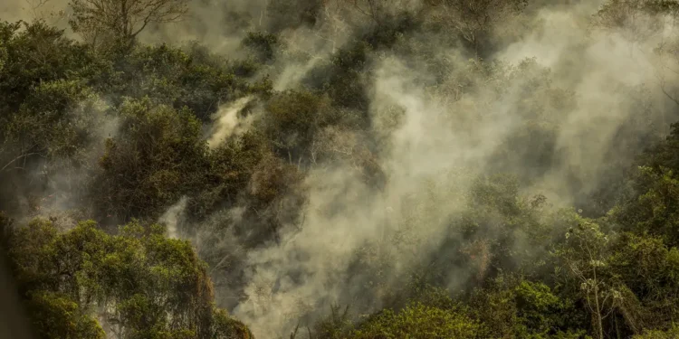 O alerta é do pesquisador Hugh Montgomery (Foto: Marcelo Camargo/Agência Brasil)