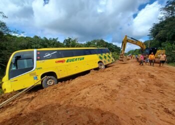 ônibus tomba BR 319