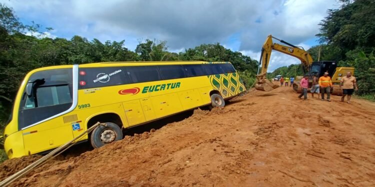 ônibus tomba BR 319
