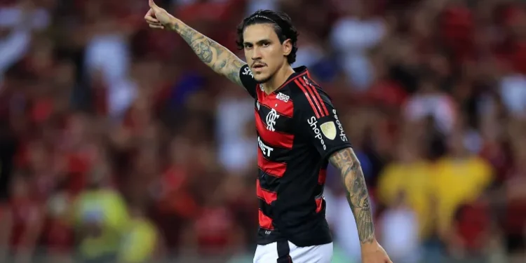 pedro-flamengo
