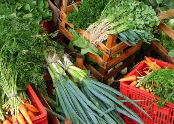 Custo de cesta básica ideal para uma pessoa chega a R$ 432 em abril