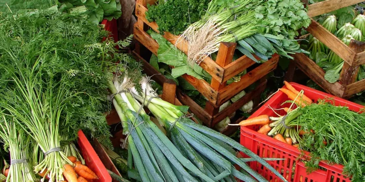 Custo de cesta básica ideal para uma pessoa chega a R$ 432 em abril