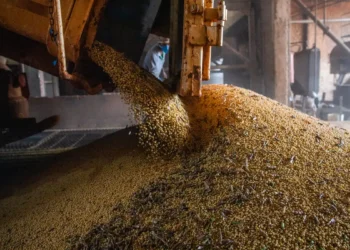 PIB atinge patamar recorde pelo 14º trimestre seguido