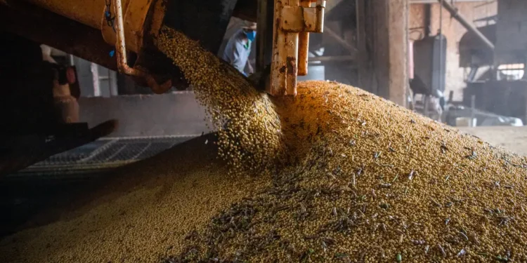 PIB atinge patamar recorde pelo 14º trimestre seguido