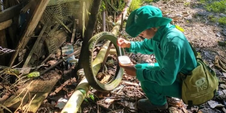 Amazonas registra mais de oito mil casos suspeitos de arboviroses